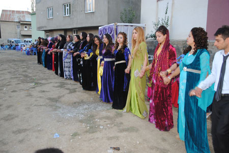 Yüksekova Düğünleri - Foto Galeri - (20-21 Ekim  2012) 239