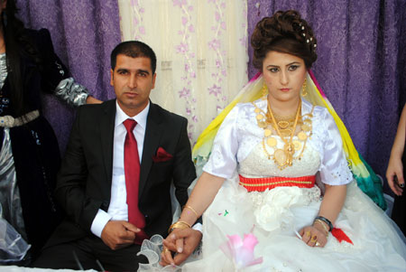 Yüksekova Düğünleri - Foto Galeri - (20-21 Ekim  2012) 26