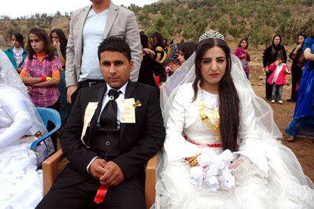 Şemdinli Düğünleri (20-21 Ekim  2012) 3