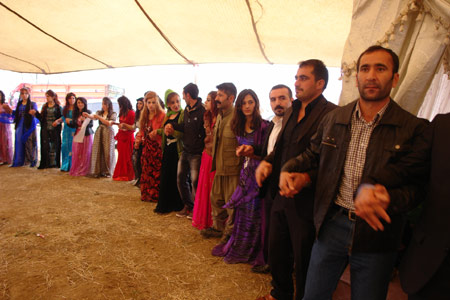 Yüksekova Düğünlerinden Fotoğraflar (03-04 Kasım  2012) 163