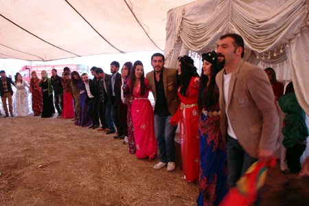 Yüksekova Düğünlerinden Fotoğraflar (03-04 Kasım  2012) 165