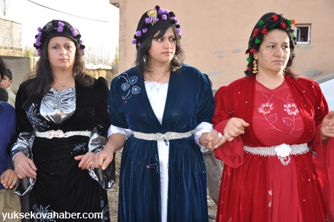 Yüksekova Düğünleri Fotoğraf Galerisi (17-18 Kasım  2012) 16