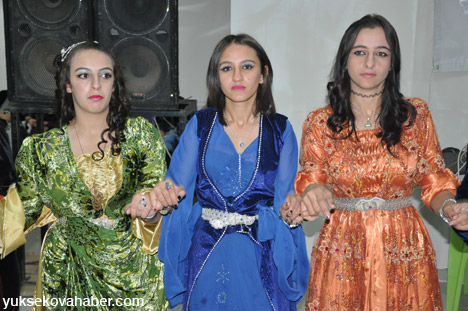 Yüksekova Düğünleri Fotoğraf Galerisi (17-18 Kasım  2012) 21