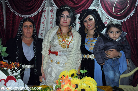 Yüksekova Düğünleri Fotoğraf Galerisi (17-18 Kasım  2012) 63