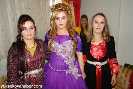 Yüksekova Düğünleri Fotoğraf Galerisi (17-18 Kasım  2012) 76