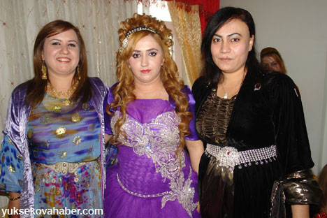 Yüksekova Düğünleri Fotoğraf Galerisi (17-18 Kasım  2012) 78