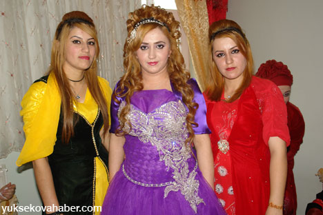 Yüksekova Düğünleri Fotoğraf Galerisi (17-18 Kasım  2012) 80