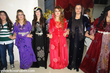 Yüksekova Düğünleri - Foto Galeri - (24-25 Kasım  2012) 11
