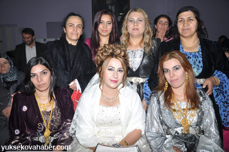 Yüksekova Düğünleri - Foto Galeri - (24-25 Kasım  2012) 26