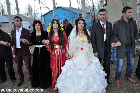 Yüksekova Düğünleri (01-02 Aralık  2012) - foto - 08-12-2012 60