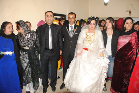 Şemdinli Düğünleri (08-09  Aralık 2012) 12