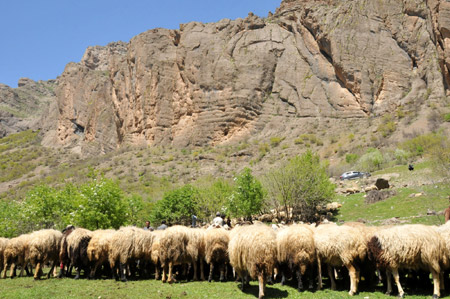 Kaval Köyü'nün öteki yüzü 13