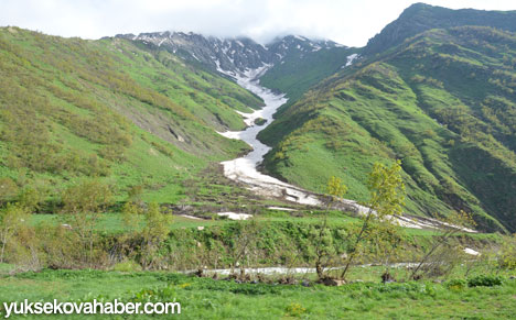Dağlıca (Oremar) bölgesinden bahar kareleri 62