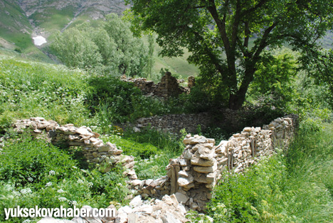 Boşaltılmış cennet: Bayé Köyü 33