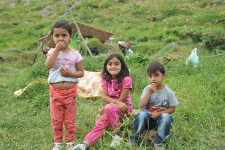 Xanî yaylasında festival coşkusu 118