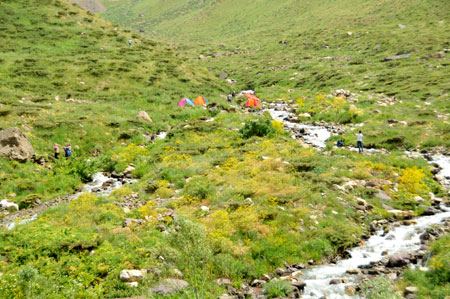 Xanî yaylasında festival coşkusu 130