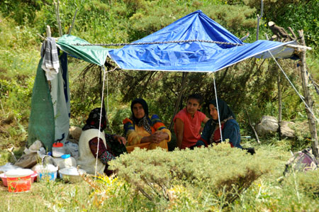 Xanî yaylasında festival coşkusu 54