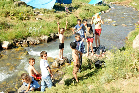 Xanî yaylasında festival coşkusu 58