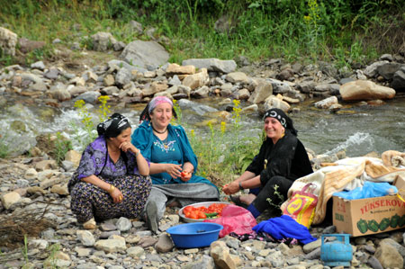 Xanî yaylasında festival coşkusu 85