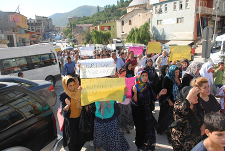 Şemdinli'de Bingöl olayı için yürüyüş 4