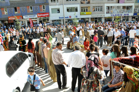 Berçelan Festivalinin starı verildi 34