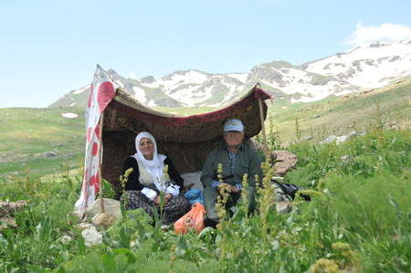 Berçelan'da festival coşkusu başladı 51