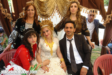 Yüksekova Düğünleri - Foto Galeri - (29-30 Haziran 2013) 254