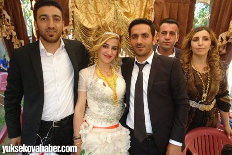 Yüksekova Düğünleri - Foto Galeri - (29-30 Haziran 2013) 255