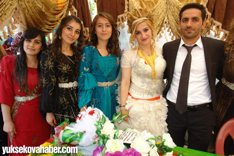 Yüksekova Düğünleri - Foto Galeri - (29-30 Haziran 2013) 256