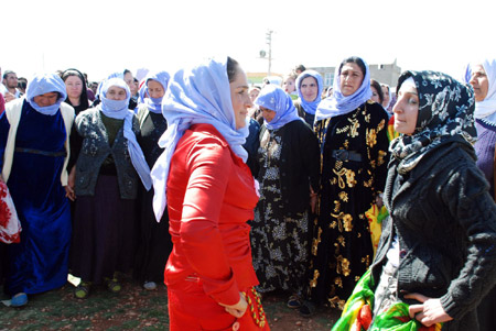 15 merkezde Newroz coşkusu 13