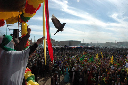 15 merkezde Newroz coşkusu 66