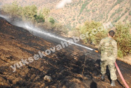 Şemdinli'de orman yangını 10