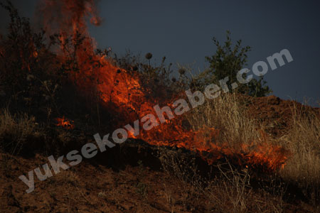 Şemdinli'de orman yangını 18