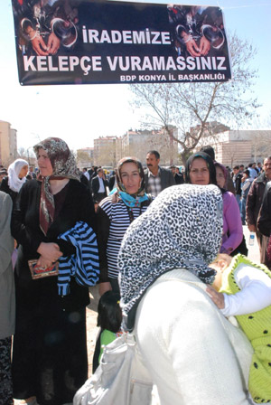 Newroz halayları başladı 157