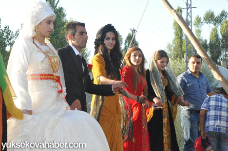 Yüksekova Düğünleri (24-25  Ağustos 2013) 140
