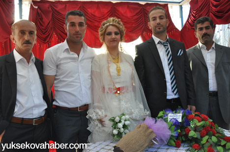 Yüksekova hafta içi düğünleri - 06-09-2013 - Foto Galeri 70