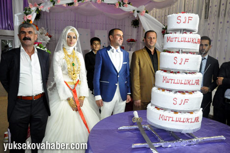 Atabak ailesinin düğününden fotoğraflar - Yüksekova 35