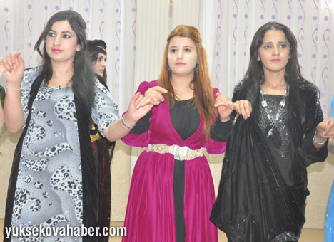 Atabak ailesinin düğününden fotoğraflar - Yüksekova 47