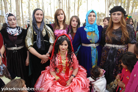 Yüksekova Düğünleri (26-27 Ekim 2013) 32