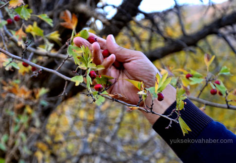 Şemdinli'de sonbahar güzelliği 22