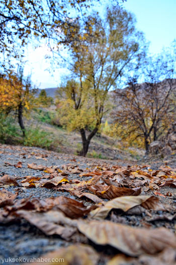 Şemdinli'de sonbahar güzelliği 40