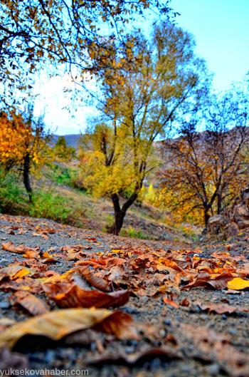 Şemdinli'de sonbahar güzelliği 41