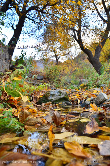 Şemdinli'de sonbahar güzelliği 43