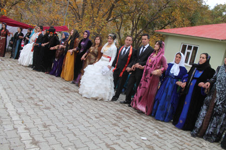 Şemdinli  Düğünleri (09-10 Kasım 2013) 33