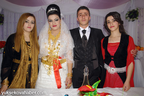 Yüksekova Düğünleri - Foto Galeri - (30-01 Aralık 2013) 11
