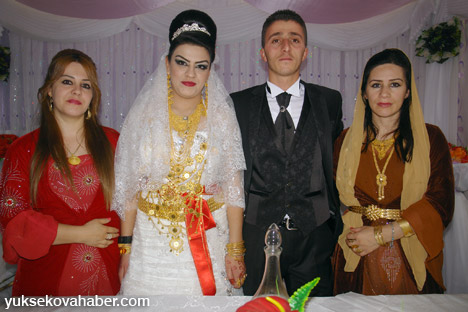 Yüksekova Düğünleri - Foto Galeri - (30-01 Aralık 2013) 12