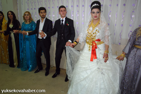 Yüksekova Düğünleri - Foto Galeri - (30-01 Aralık 2013) 19