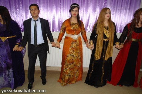 Yüksekova Düğünleri - Foto Galeri - (30-01 Aralık 2013) 34