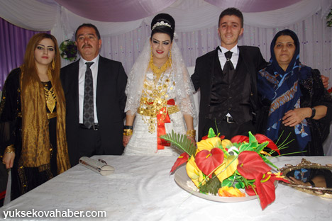 Yüksekova Düğünleri - Foto Galeri - (30-01 Aralık 2013) 42