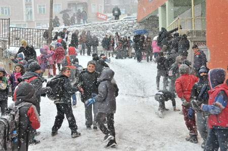 Hakkari'de kar yağışı hayatı olumsuz etkiliyor 15